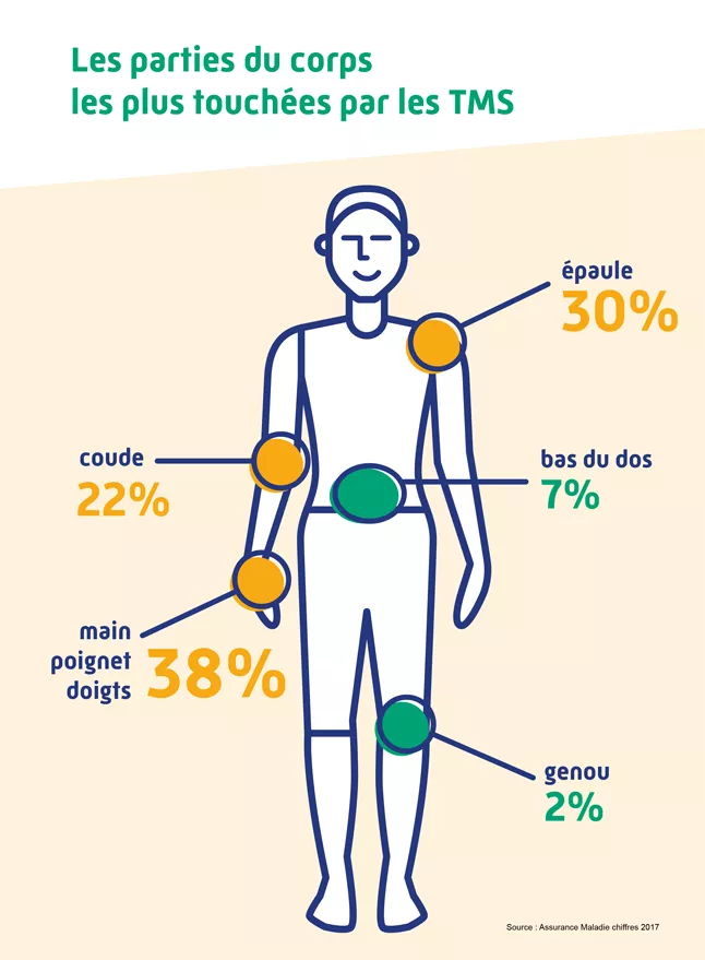 Infographie TMS troubles musculo-squelettiques